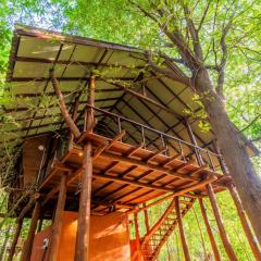Kaala Kalaththewa Luxury Eco Resort