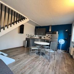 Les Cyclades à Saint Pierre La Mer