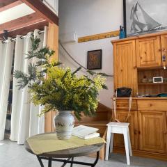 LES MIMOSAS