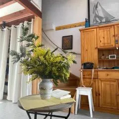 LES MIMOSAS
