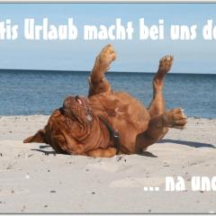 Bungalow WALD & SAND direkt am Strand