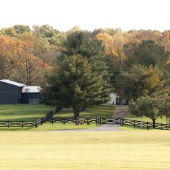 Donkeytown at Turner Farms