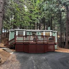 Cedar Oasis - Pet Friendly Cabin w Fireplace, Games and Wifi - 5 min to Big Trees