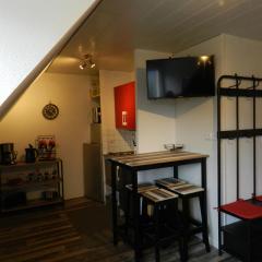 Studio 18m², 3 pers, proche pistes - FR-1-557A-54