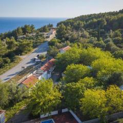 Apartments with a parking space Babino Polje, Mljet - 22319