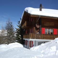 Ferienhaus Bergfreund