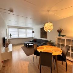 Privat one bedroom apartment in Odense N