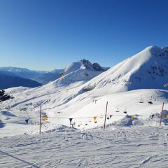 Penthouse&Wellness L'Abete