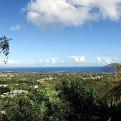 Oceanview Apartment with Garden Access