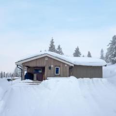 Beautiful Home In Sjusjen With Jacuzzi