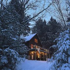 Balsam Ridge - Family Friendly Chalet Close to Skiing!