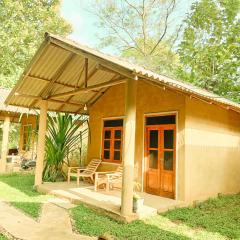 Monkey Jungle Cottage