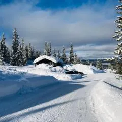 Hytta for 8 personer skiut/inn