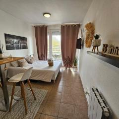 A116 Appartement disneyland Paris T1