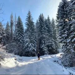 Jasna