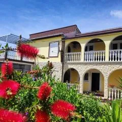 Apartmani Matan Vir