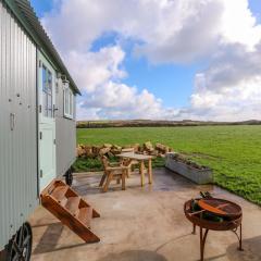 Lower Trewern Shepherds Hut