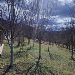 Mountain Home Paravci