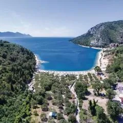 Apartman Vesna