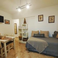 Charming Apartment in Recoleta Comfort and Style for 4 People