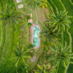 Pesona Bali Ecolodge by AGATA