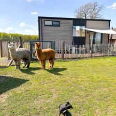 Tiny House Alpakablick - inklusive gratis Alpaka Meet & Greet