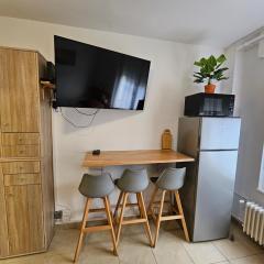 Studios Immostrasbourg - hébergements de tourisme classés proche centre et Conseil d'Europe