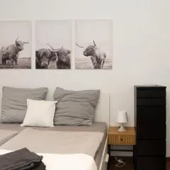 City Apartment am Zoo & Stadtkern