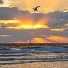 Beach Place Seconds to Beach 23