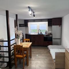 Economy Apartment - Ustrzycka Rzeszów