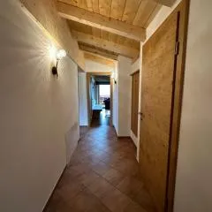 Hundsidl
