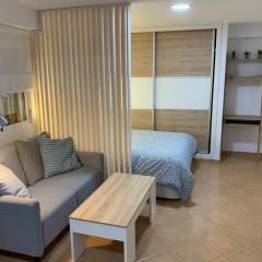 Apartamento Avenida Velazquez Planta Primera
