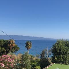 Ajaccio appartement 4 couchages, climatisé a 150m de la plage route des sanguinaires, parking privé