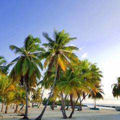 Holiday home in Kamadhoo Island / Maldives