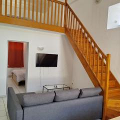 Spacieuse et confortable maison avec garage