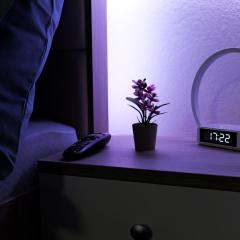 Transylvanian Hideaway Apartment