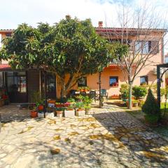 Apartment Cocaletto 2313