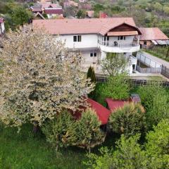 Countryside Home