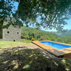 Elegant stone villa with swimming pool