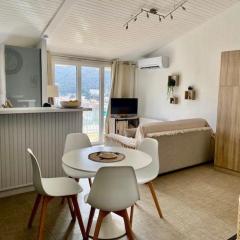 Studio Amélie-les-Bains-Palalda, 1 pièce, 2 personnes - FR-1-703-169