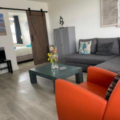 Amsterdam Beach Home 46