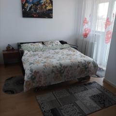 Apartament Alex