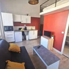 Lumineux T1 de 23m2 à 100m des Métro/Tram