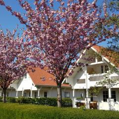 Holiday Park Dennenbos