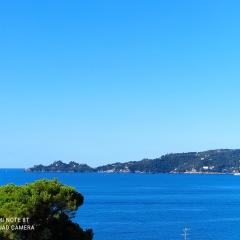 MARE E PORTOFINO - SEA AND PORTOFINO