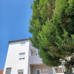 Lovely Family House with 4 apartments in Zadar