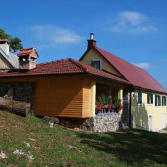 Holiday house with a parking space Zuta Lokva, Senj - 22686