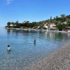 The Loula Collection - Horizon Suite