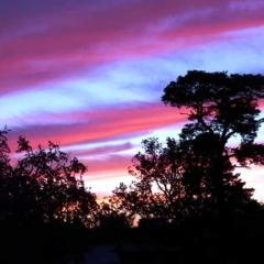 Haus Bucheneck, Apartment WE 11 Goerick GM 69311