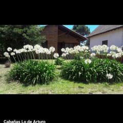 Cabañas Lo De Arturo